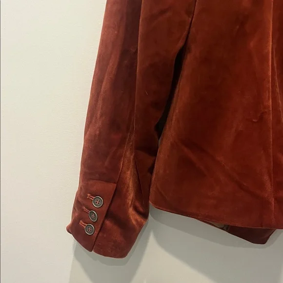 Elegant Velvet Women's Blazer in Rich Rust - Picture 8 of 11
